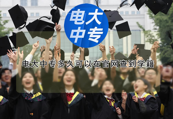 電大中專多久可以在官網查到學籍？